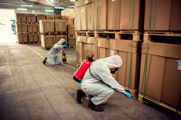 Best Bed Bug Extermination  in Del Rio, TX