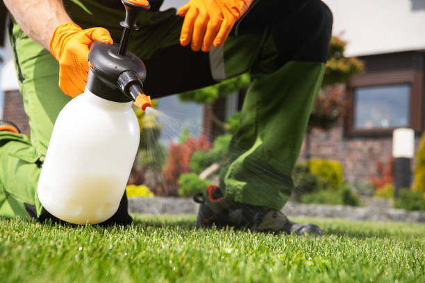 Best Pest Control Near Me in Del Rio, TX