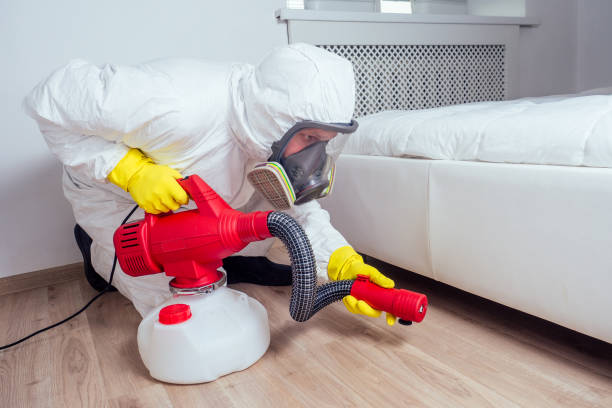 Best Flea Control Services  in Del Rio, TX