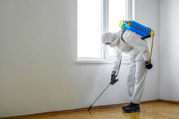 Flea Control Services in Del Rio, TX