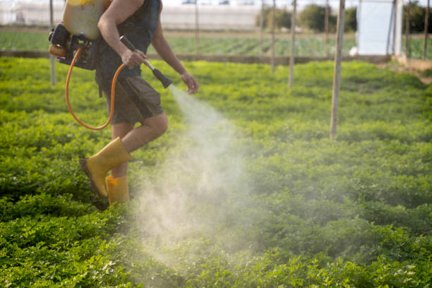 Pest Prevention Services in Del Rio, TX