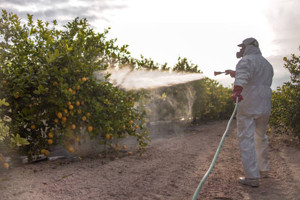 Best Emergency Pest Control  in Del Rio, TX