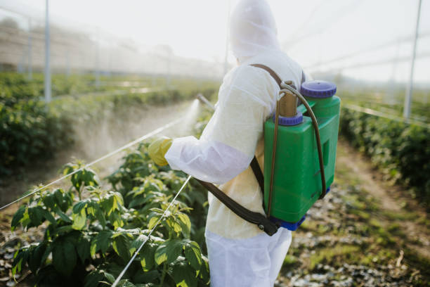Reliable Del Rio, TX Pest Control Solutions